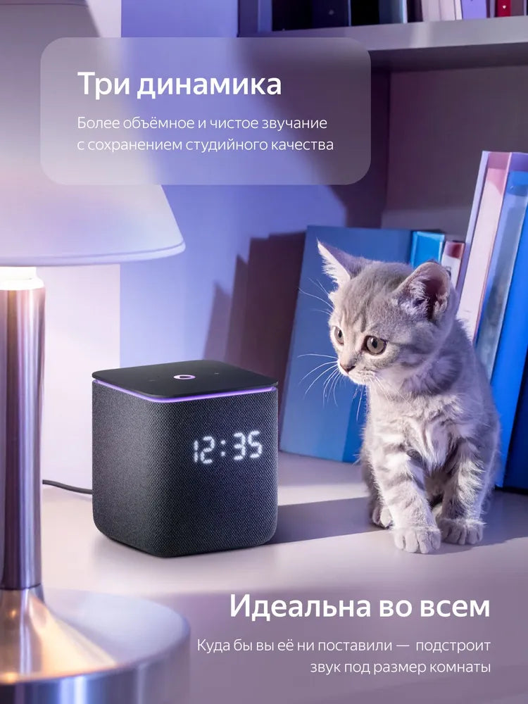 Алиса Миди